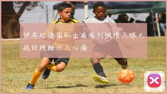 伊布对德国队出局感到惋惜点球大战的残酷让人心痛