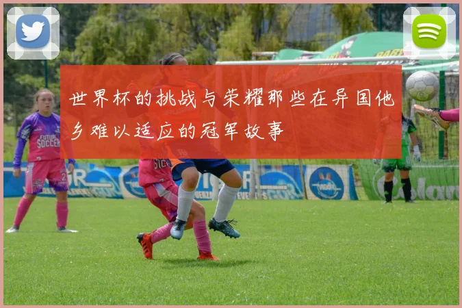 世界杯的挑战与荣耀那些在异国他乡难以适应的冠军故事