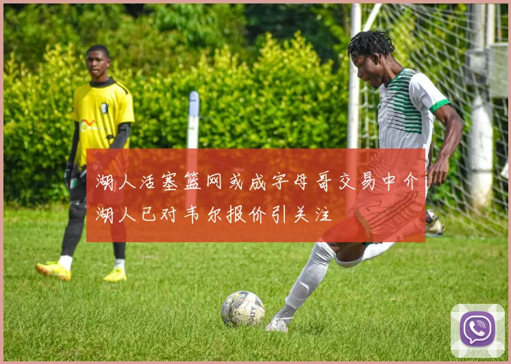 湖人活塞篮网或成字母哥交易中介湖人已对韦尔报价引关注